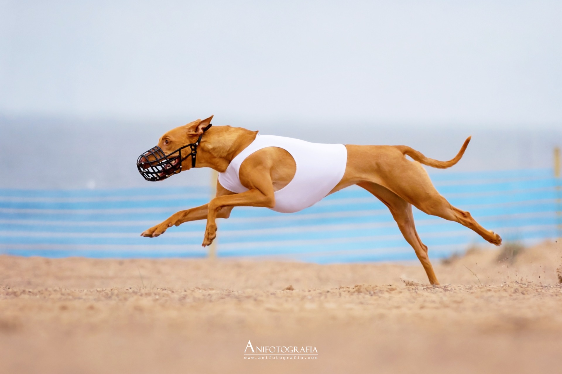 FI KVA-VIC SMM-19 PMM-20